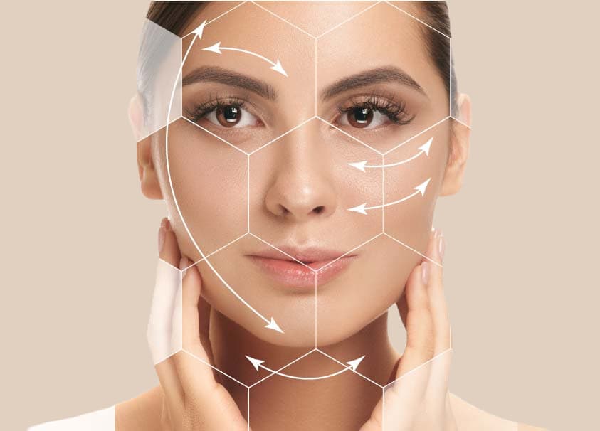 Rostro con las líneas de referencia que guían la armonización facial